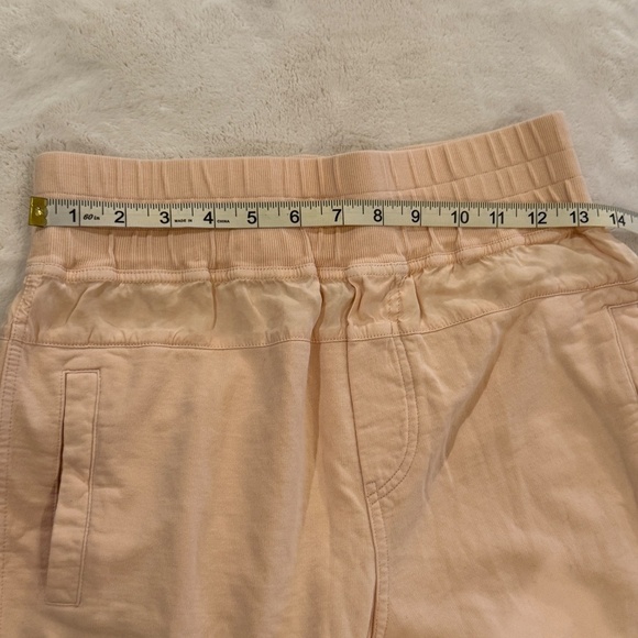 Young Fabulous and Broke Odin Joggers in Guava 45303 - Picture 8 of 13